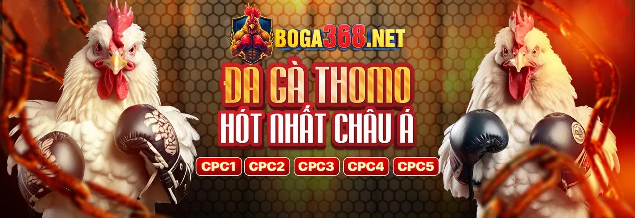 Hình ảnh minh họa lợi ích khi tham gia chơi tại 33win999 trang chủ