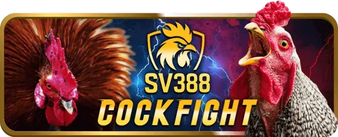 Game slot phiêu lưu tìm kho báu tại 33win999